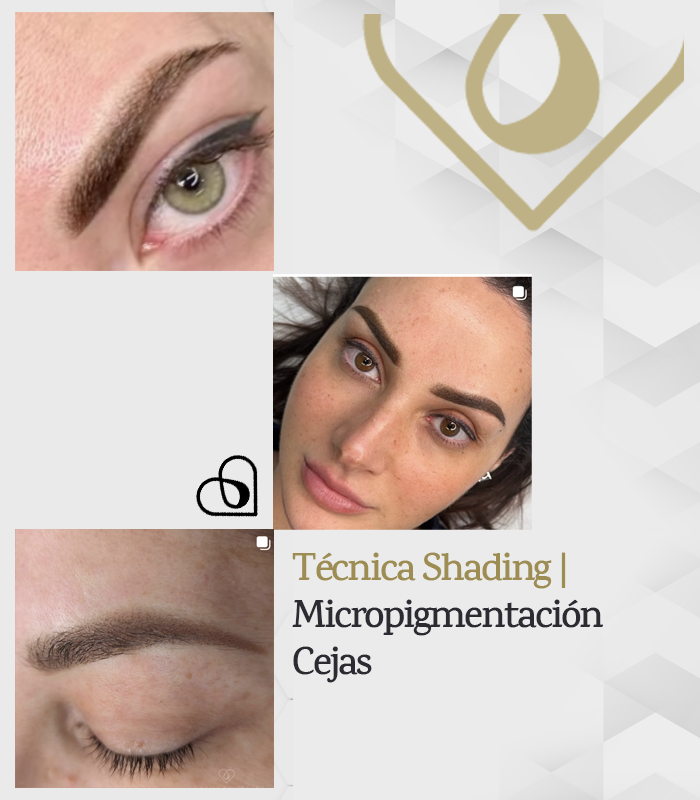 curso micropigmentación cejas técnica shading | Lorena González Micropigmentación